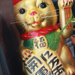Jiulong Nourriture