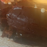 Cafe Andrea Comida