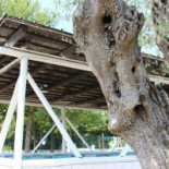 Jesolo Doc Nourriture