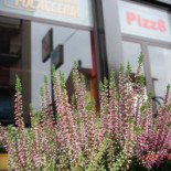 Pizz8 Exterior