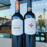 Enoteca Vino E Convivio Nourriture