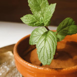 Angolo Del Moriano Comida