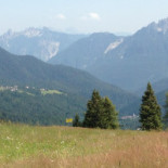 Ranch Alle Roste Comida