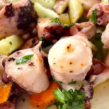 Zampi Comida
