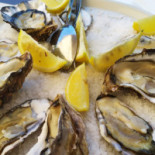 In Piazza Comida