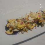 Casin Del Gamba