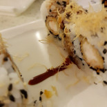Sen Sushi Comida