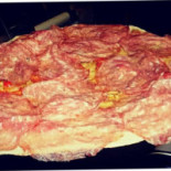 Piadineria Artigianale Le Due More food