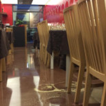 Shapla Comida