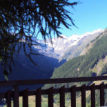 Belvedere Nourriture