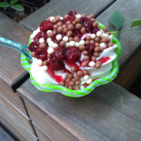 Gelateria Vignolese food