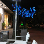 Gelateria Desideri inside