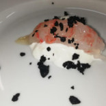 Squid Food