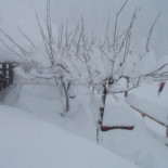 Rifugio Alpe Lago inside