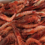 Baia Del Capo Comida
