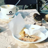 Lario Comida