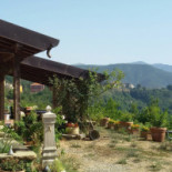 L'erba Persa Nourriture