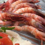 Ittica Food