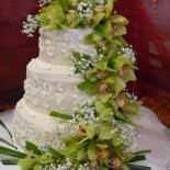 Bertan Pasticceria Comida