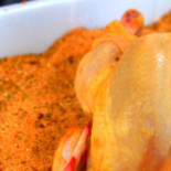 Chickenbot Nourriture