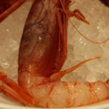 Fish Comida