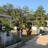 Delfinus Beach Nourriture
