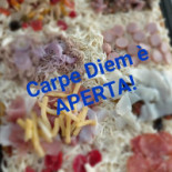 Pizza Al Taglio Carpe Diem Comida