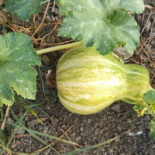 Agriturismo Barone Fortunato inside