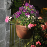 Primavera Exterior