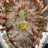 Dr. Fish food
