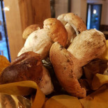 Old Bear food