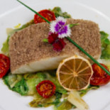 Cocciopesto Comida