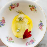 Santopalato Nourriture