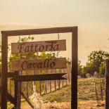 Fattoria Cavallo Nourriture