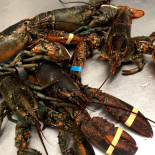 Lido Lo Smeraldo Comida