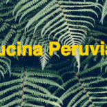 Contigo Peru Comida