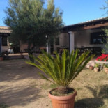 Agriturismo Nuraghe Mannu