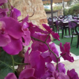 Masseria Ficazzana food