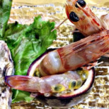 Marittimo Dalla Betta Food