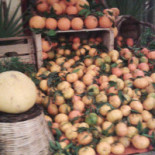 Alceste Nourriture