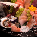 Sushi Shou Fusion food