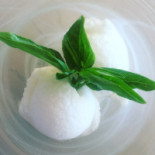 Al Terrazzo food