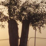 Pineta Mapapi Exterior