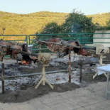Josmari Nourriture