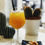 Cactus Comida