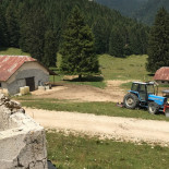 Malga Pusterle Nourriture