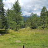 Lachwiesenhutte Nourriture