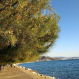 Green Beach Nourriture