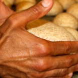 Cardamomo À l'intérieur