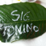Eugenio Il Nourriture
